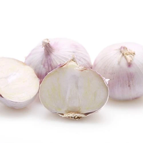 Single Clove Solo Qej Yunnan Original